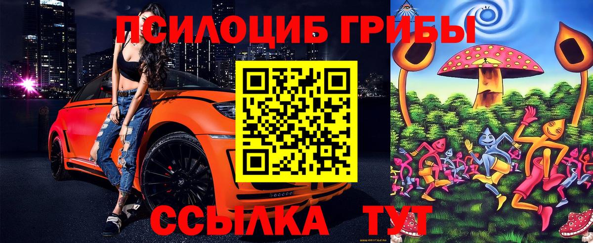 Семилуки  Псилоцибиновые грибы Psilocybine cubensis  Вход с VPN 